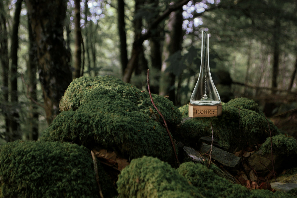 Zwiesel Glas Iconics carafe de décantation 75 Cl avec pied en bois