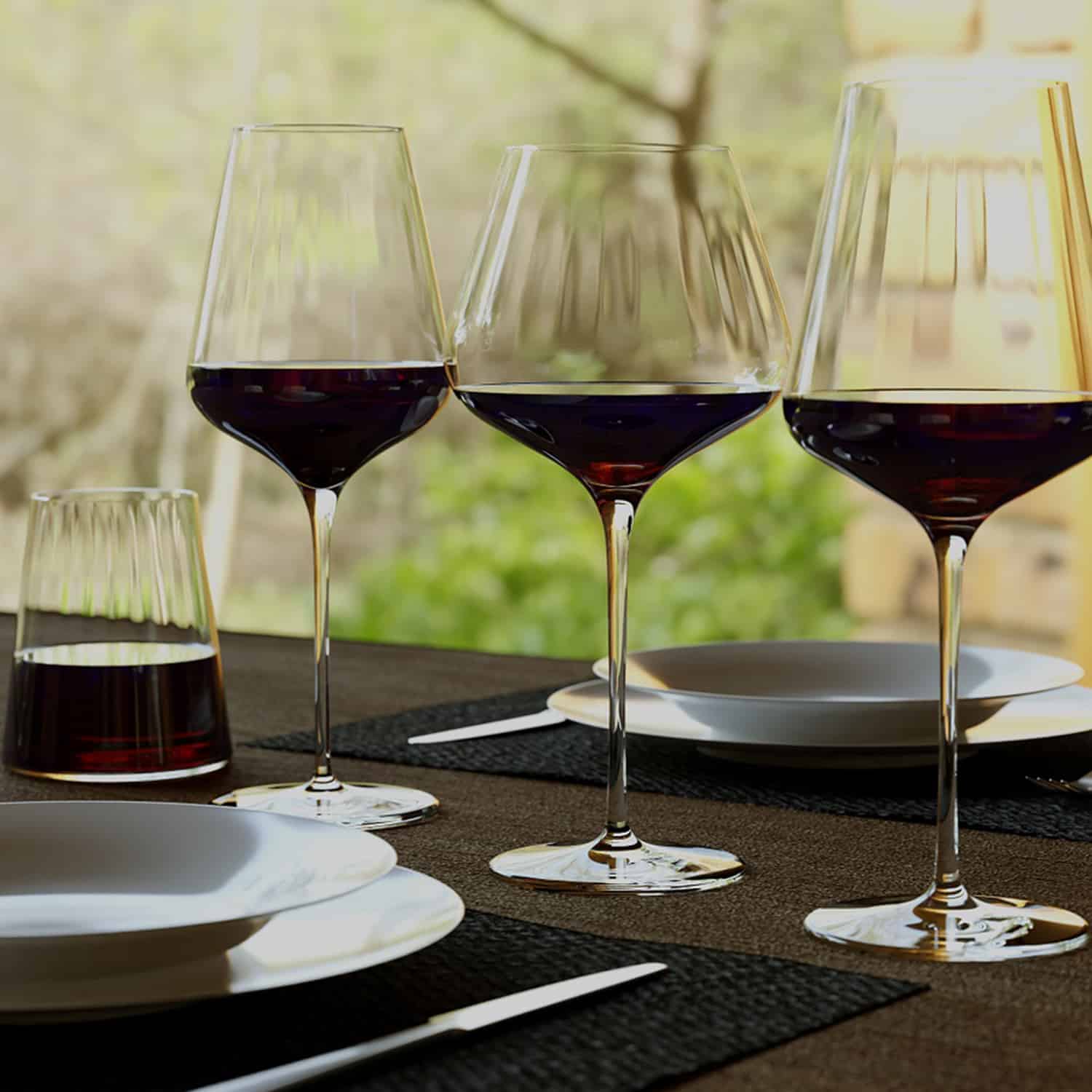 Stölzle Symphony Wijnglas 54 Cl - 6 Stuks - Glazen.nl