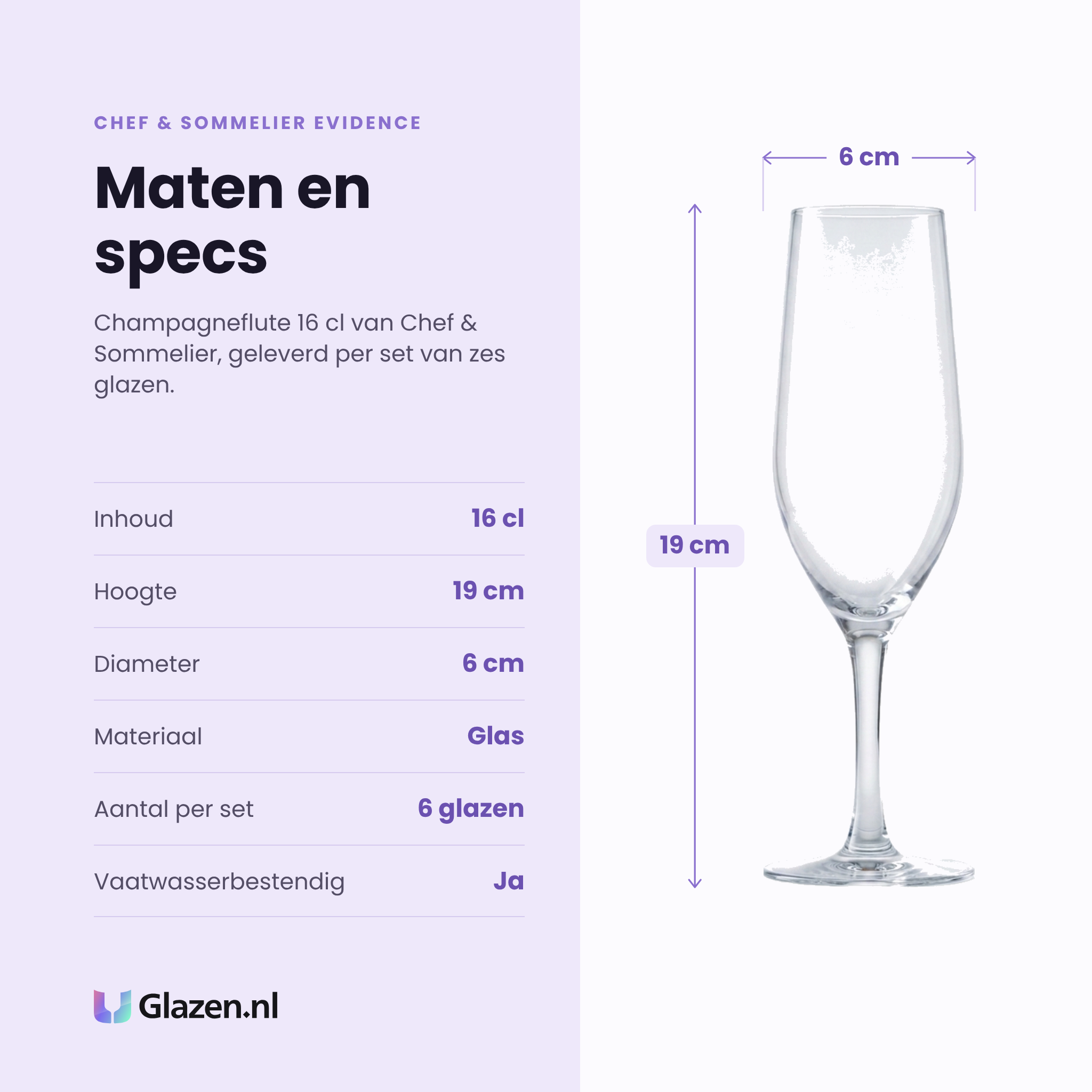 Chef & Sommelier Evidence champagneflute 16 cl specificaties: inhoud 16 cl, hoogte 19 cm, diameter 6 cm, glas, set van 6