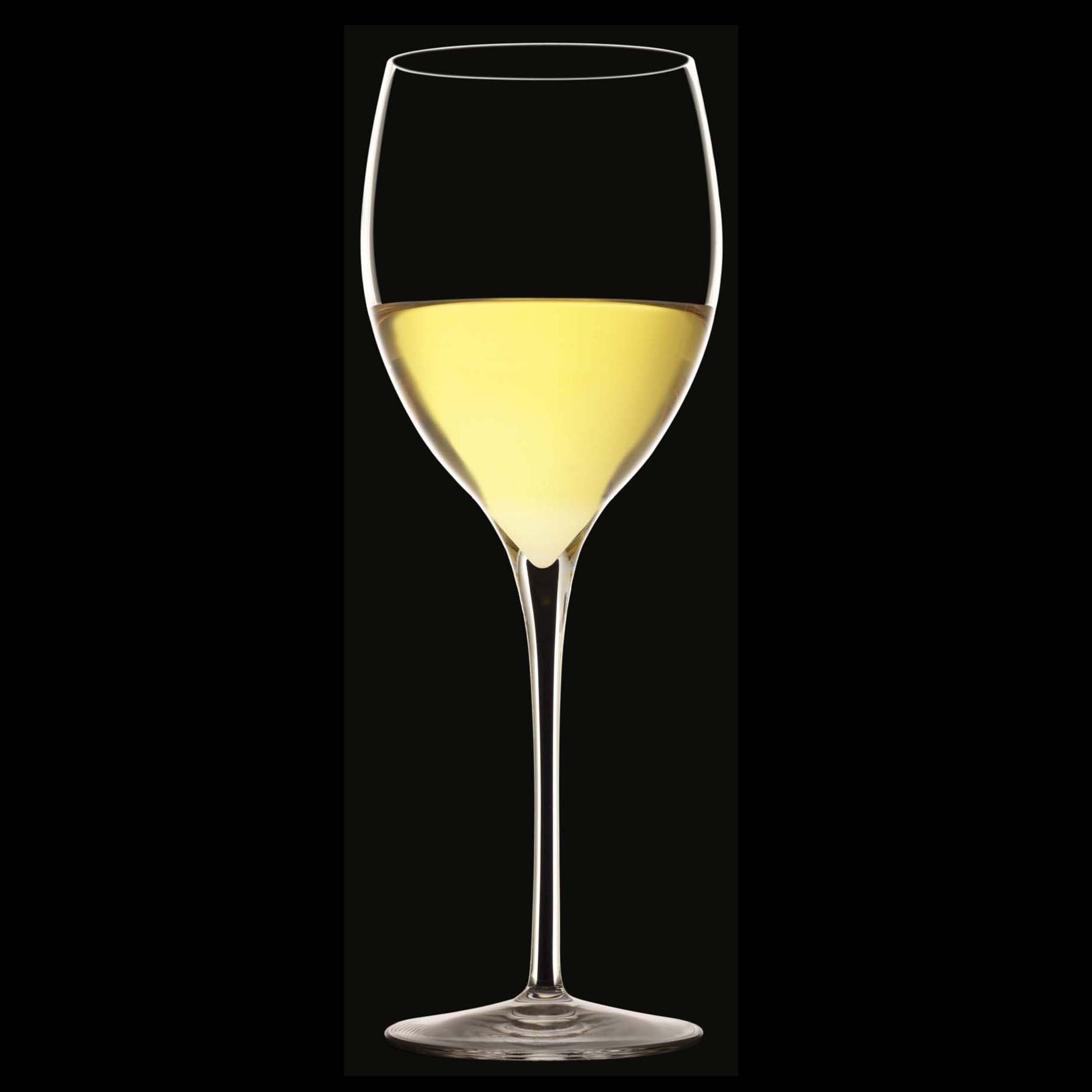 Luigi Bormioli Magnifico Champagneglas / Flute 32 Cl - 4 Stuks - Glazen.nl