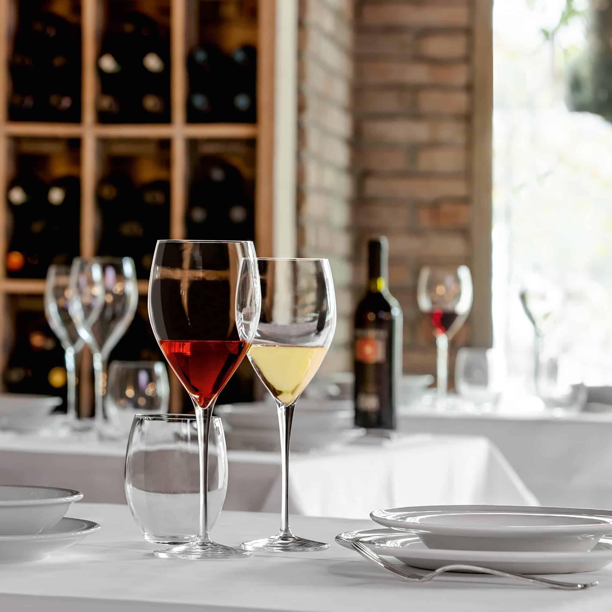 Luigi Bormioli Magnifico Tumbler D.O.F. 50 Cl - 6 Stuks - Glazen.nl