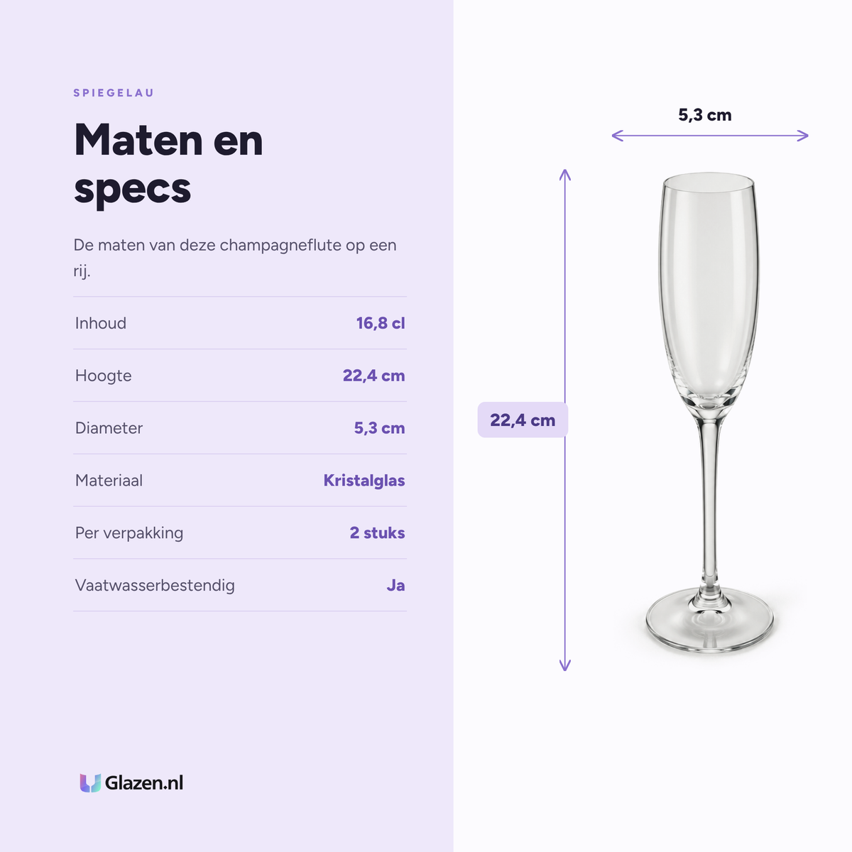 Maten en specificaties van het Spiegelau Festival champagneglas 16,8 cl