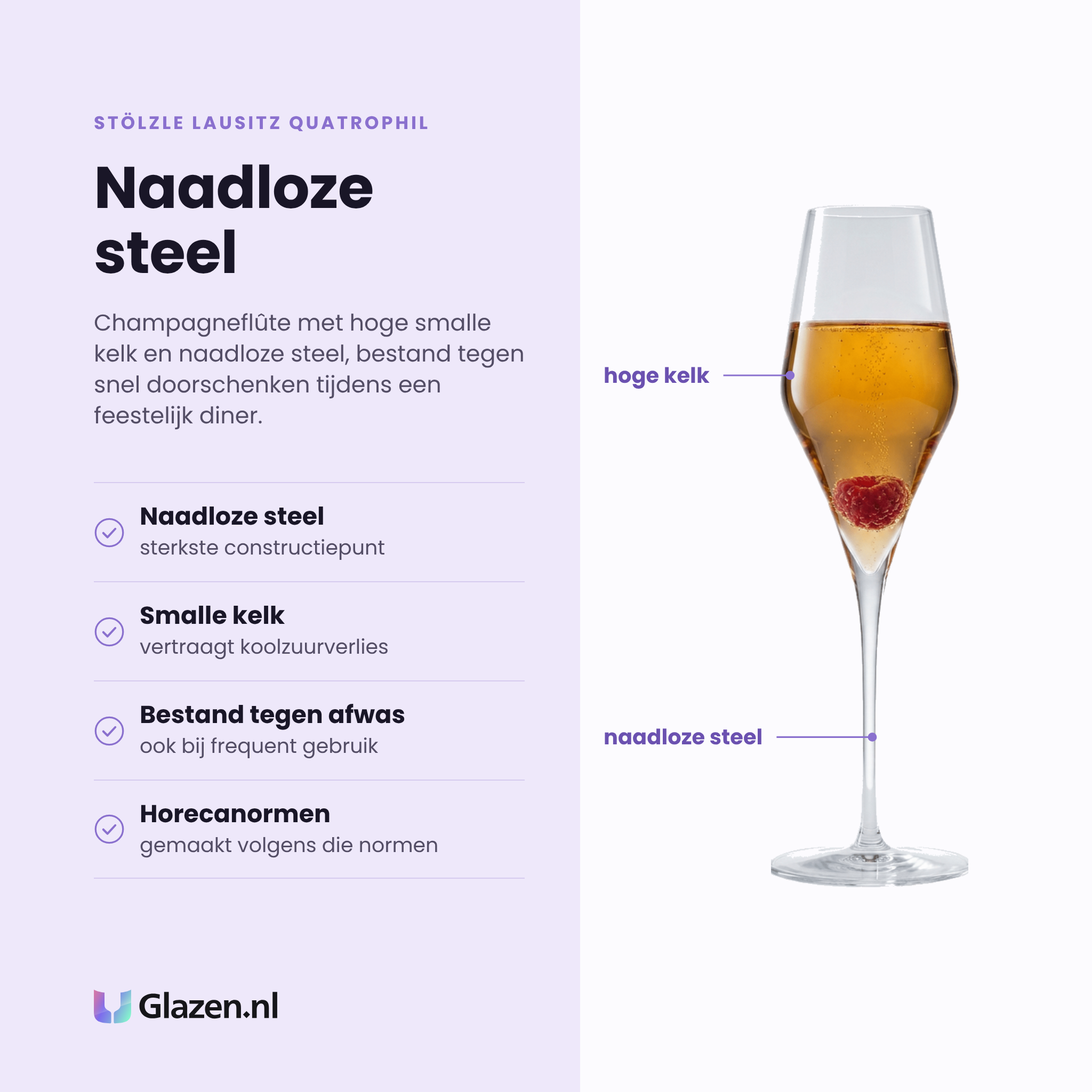 Stölzle Lausitz Quatrophil champagneflute 29 cl eigenschappen: naadloze steel, smalle kelk, bestand tegen frequent afwassen, geproduceerd volgens horecanormen