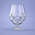 RCR Alkemist Cognac / Gin Tonic Glas 53 Cl Laag - 6 Stuks