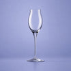 RCR Invino Likeurglas 10 Cl - 6 Stuks - Glazen.nl