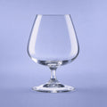 Arcoroc Degustation Cognacglas 41 Cl - 6 Stuks