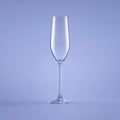 Arcoroc Mineral Champagneglas / Flute 16 Cl - 6 Stuks