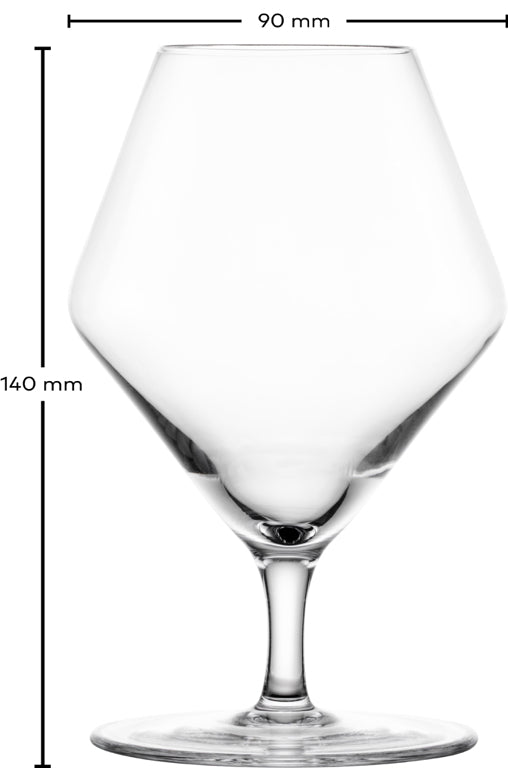 Zwiesel Glas Début verre à umami salé 31,9 Cl avec point de nucléation - 2 pièces