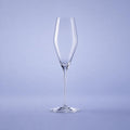 Spiegelau Hybrid Champagneglas / Flute 28 Cl - 12 Stuks