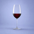 Spiegelau Salute Wijnglas 71 Cl - 12 Stuks