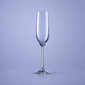 Spiegelau Vino Grande Champagneglas / Flute 18,5 Cl - 12 Stuks