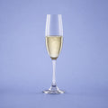 Spiegelau Winelovers Champagne Flute 19 Cl - 12 Stuks