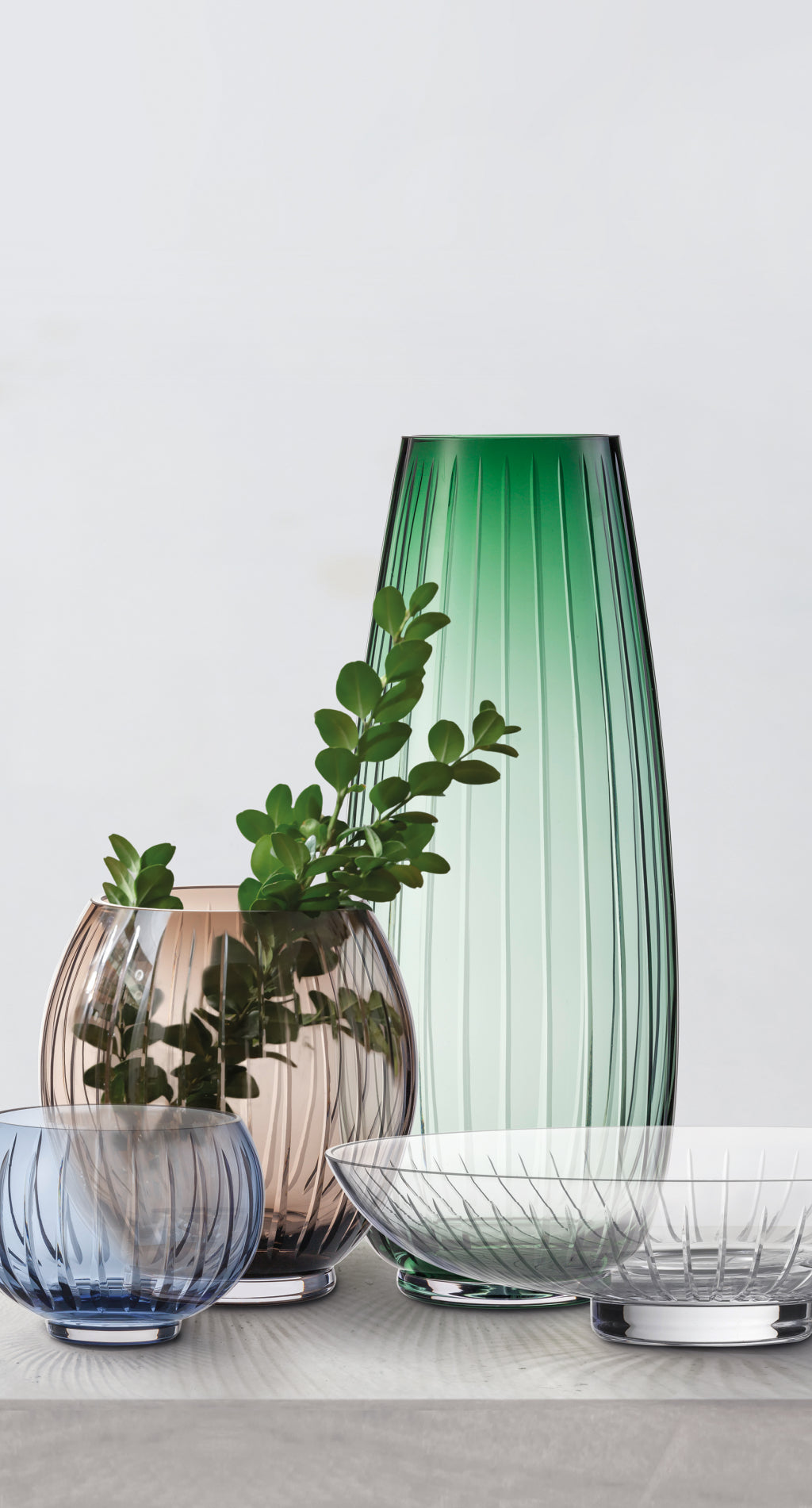 Zwiesel Glas Signum coupe 341 mm cristal clair