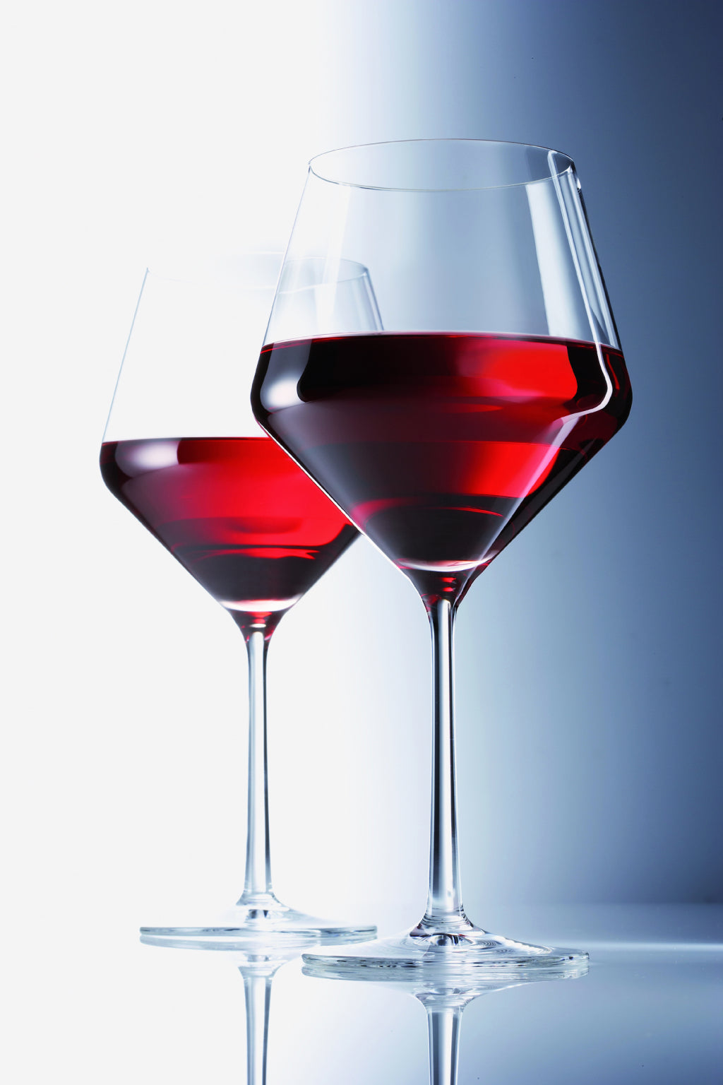 Zwiesel Glas Pure verre à bourgogne 70 Cl en coffret cadeau - 2 pièces