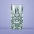 Nachtmann Noblesse Longdrinkglas 39,5 Cl Groen - 2 Stuks