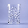RCR Oasis Tumbler 25 Cl - 6 Stuks