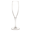 RCR Invino Champagne Flute 24 Cl - 6 Stuks