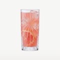 RCR Oasis verre long drink 36 Cl - 6 pièces