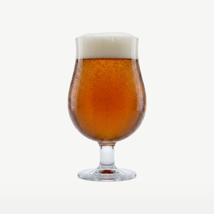 Royal Leerdam Beer Specials