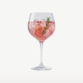 RCR Optiq Verre à Gin Tonic 67 Cl - Lot de 6