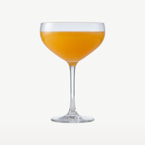 Schott Zwiesel Bar Special