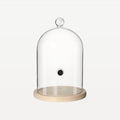 Bar Professional Cloche en verre pour fumoir à cocktails 24 Cm