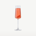 Onis Niveau Champagneflûtes 20 Cl - 6 Stuks