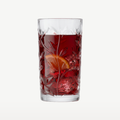RCR Laurus verre long drink 36 Cl - 6 pièces