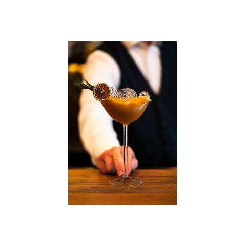 Bar Professional Bird cocktailglas 15 cl met cocktail