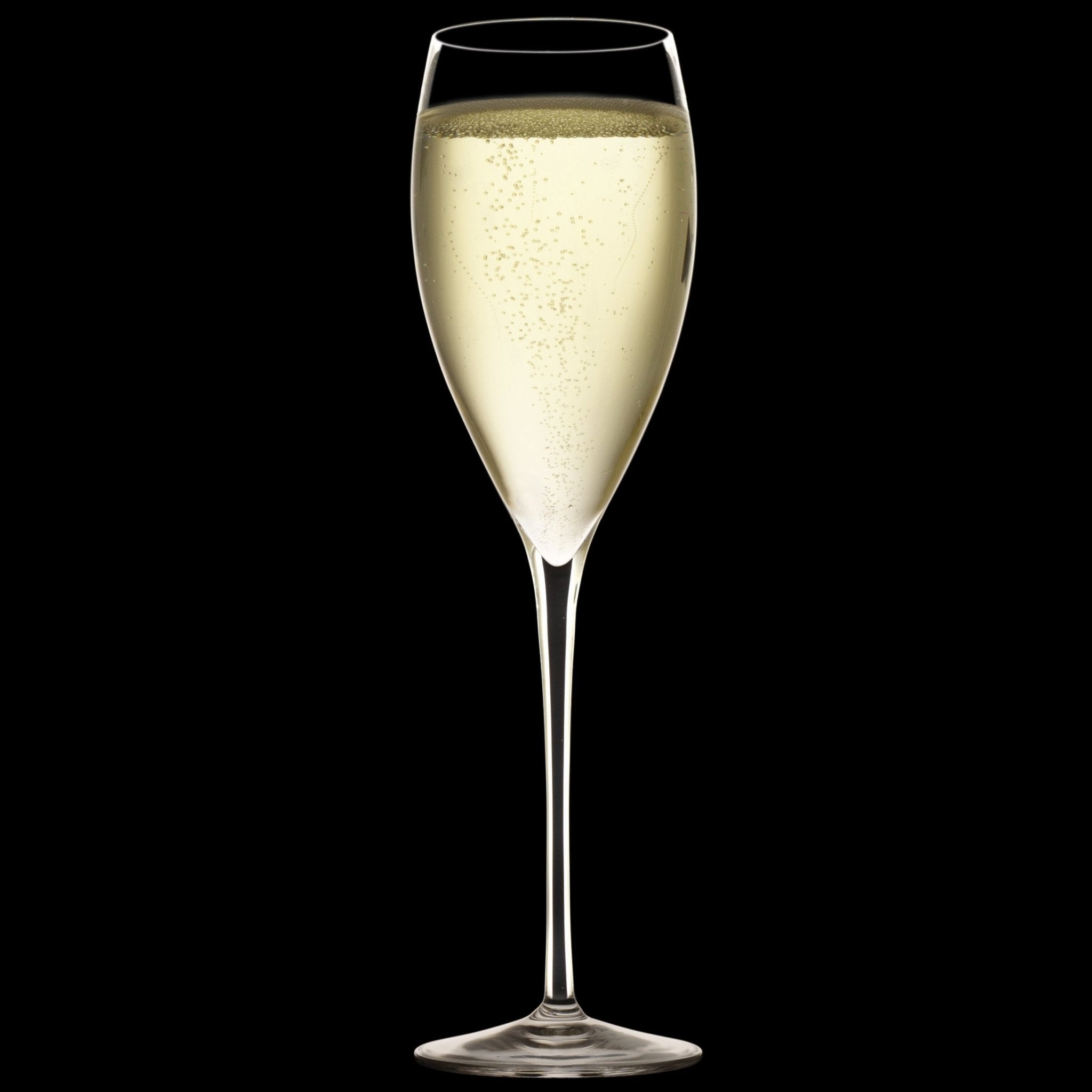 Luigi Bormioli Magnifico Wijnglas Medium 46 Cl - 4 Stuks - Glazen.nl