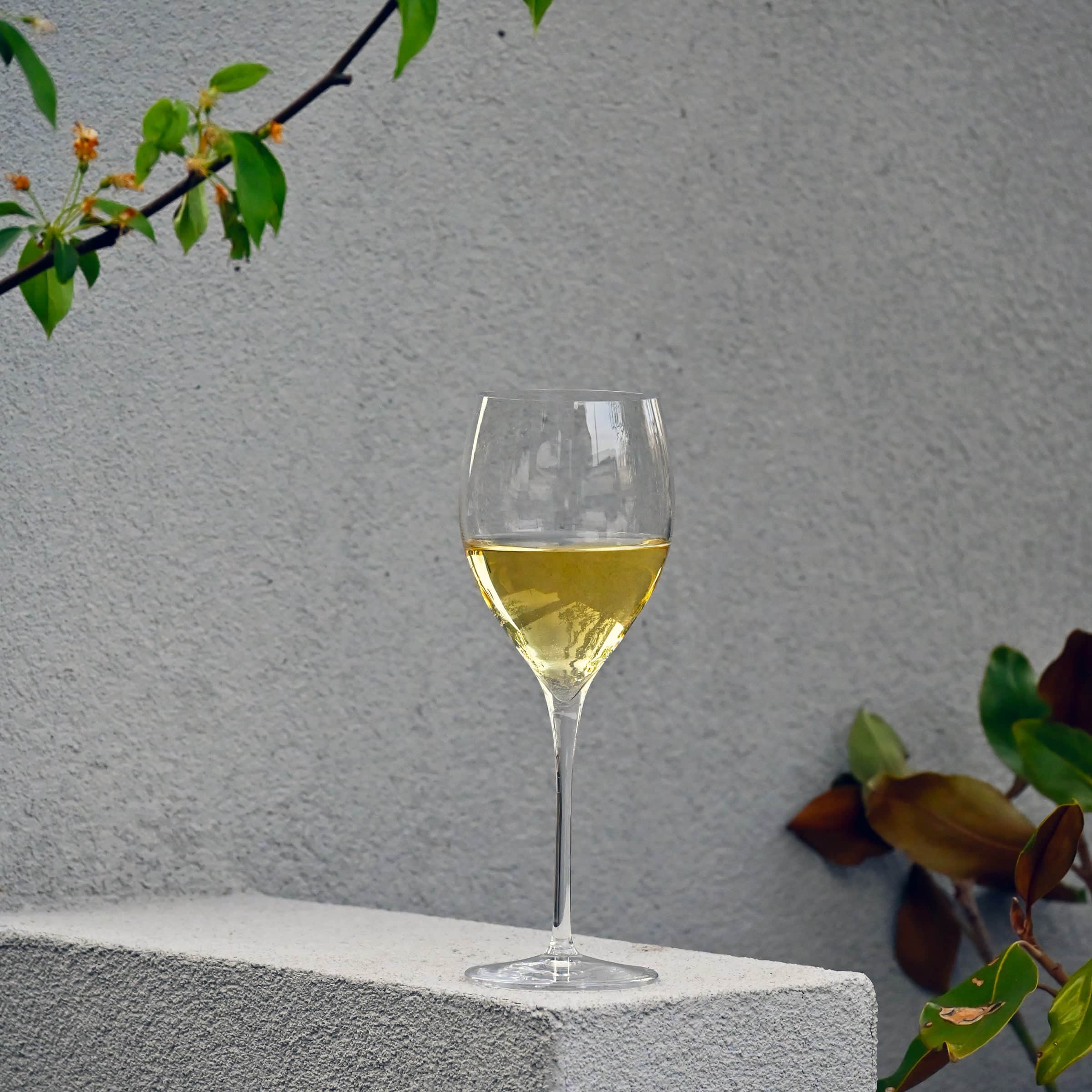 Luigi Bormioli Magnifico Champagneglas / Flute 32 Cl - 4 Stuks - Glazen.nl