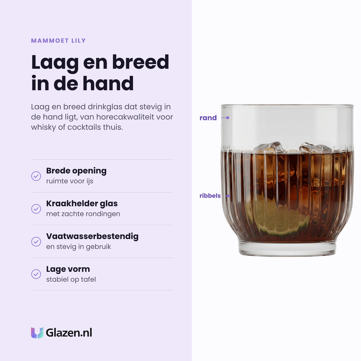 Mammoet Lily tumbler 33 cl eigenschappen: brede opening met ruimte voor ijs, kraakhelder glas, lage stabiele vorm, vaatwasserbestendig