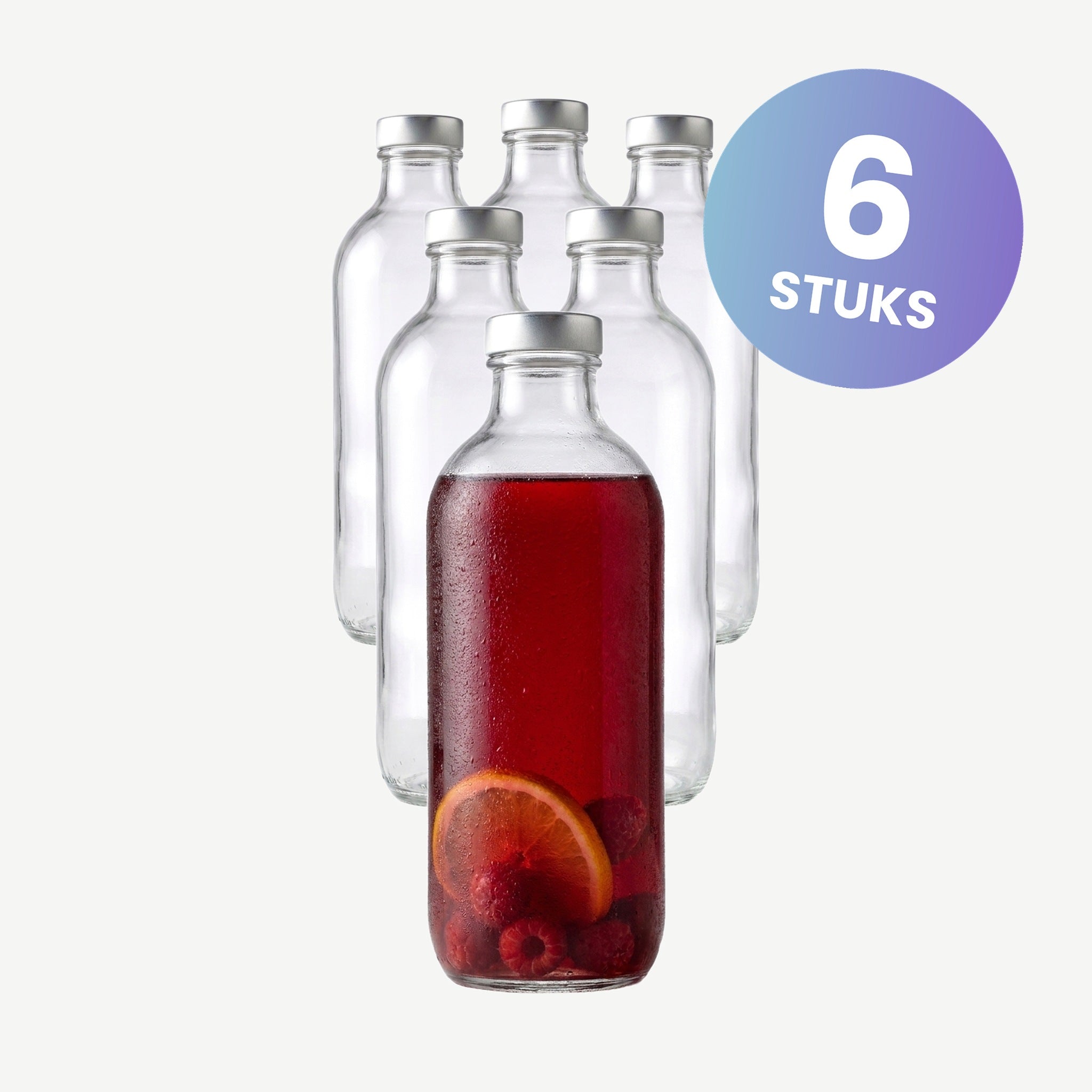 Pasabahce Iconic Fles 0,54 Liter - set van 6 glazen