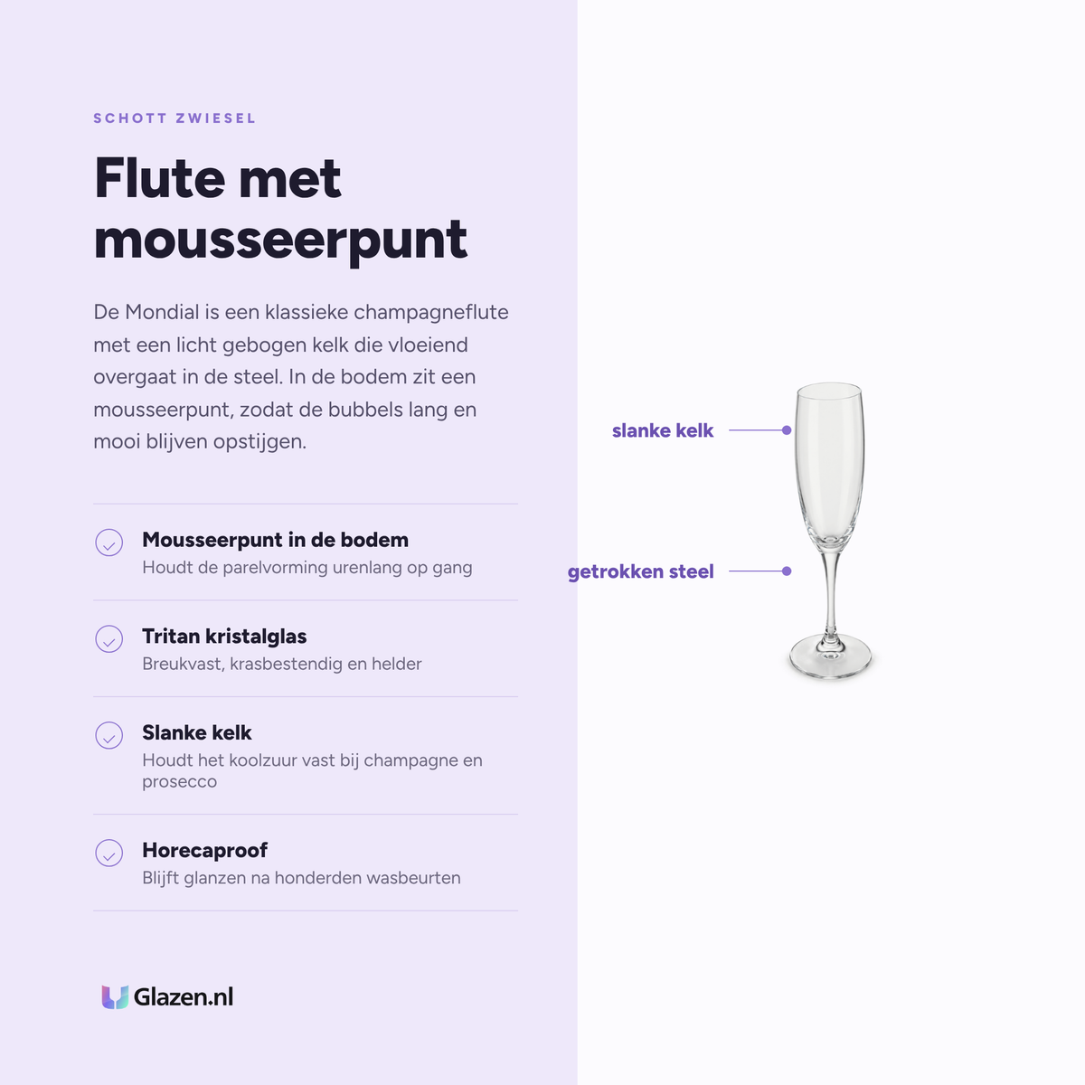 Infographic met de eigenschappen van Schott Zwiesel Mondial Champagneglas 20,5 cl