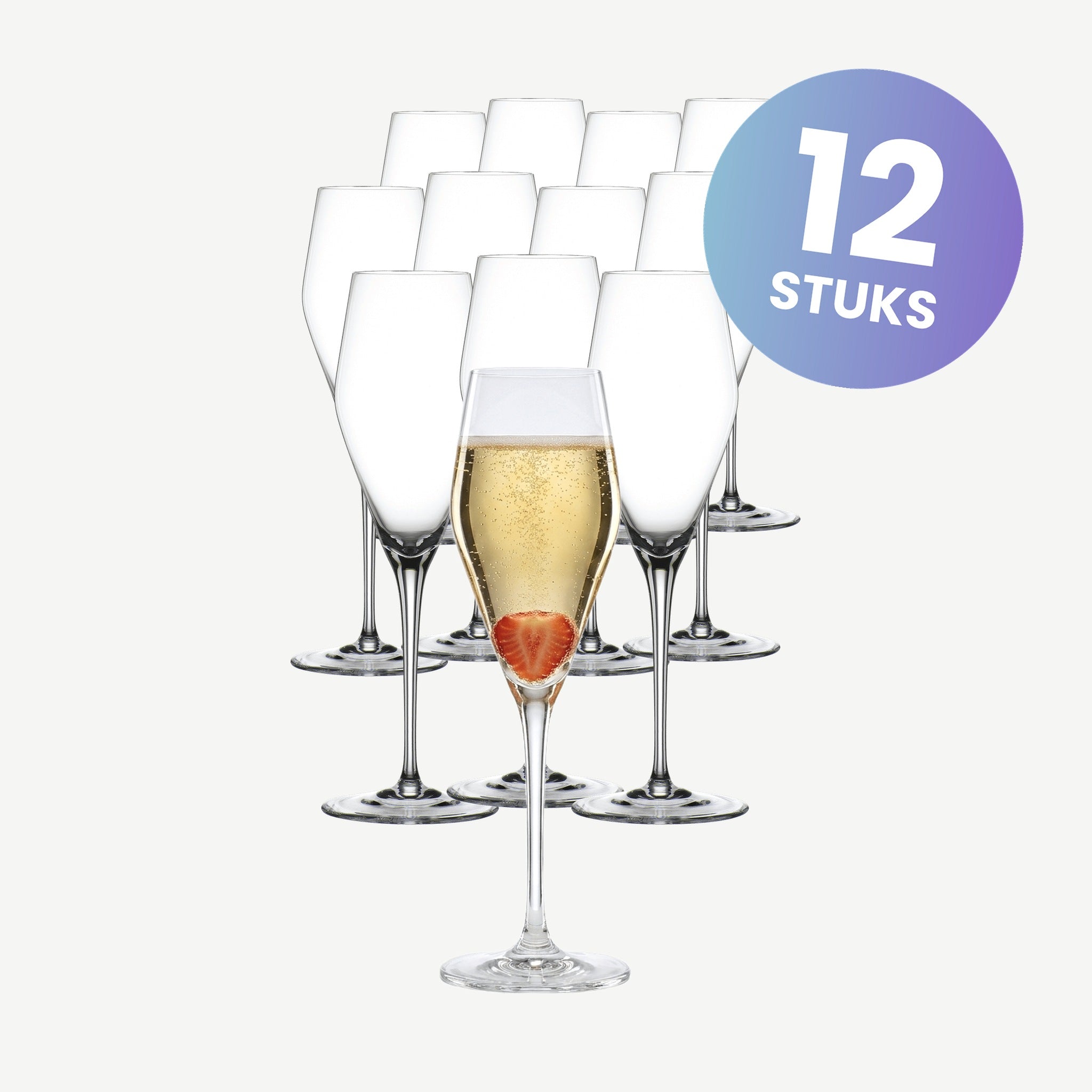 Spiegelau Hybrid Champagneglas / Flute 28 Cl - set van 12 glazen