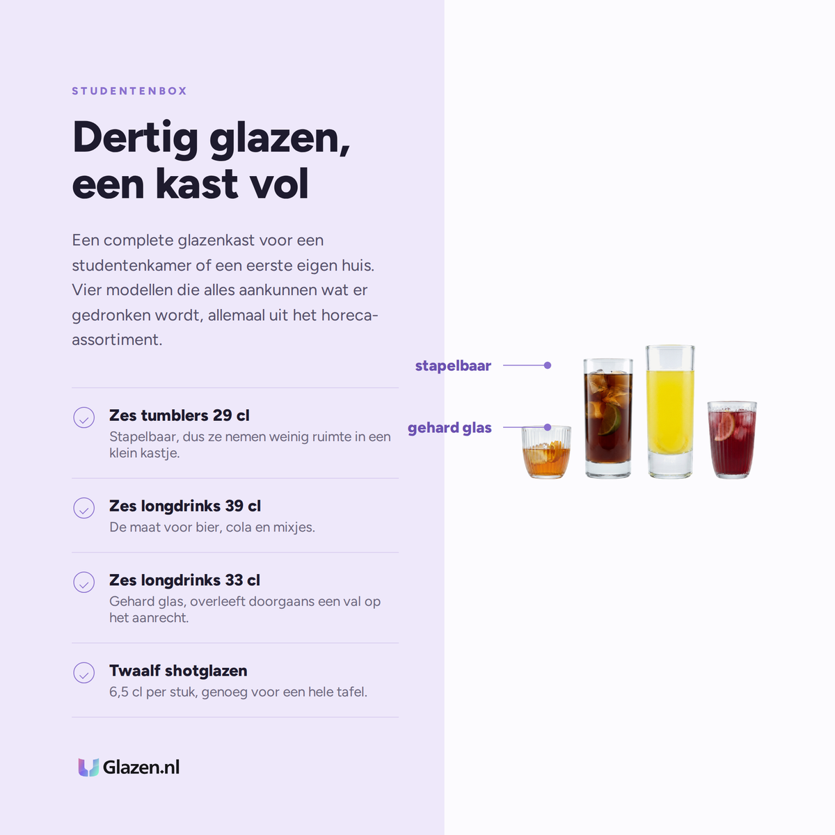 Studentenbox 30-Delig (Tumblers, Longdrinks, Shotglazen & Bierglazen) eigenschappen