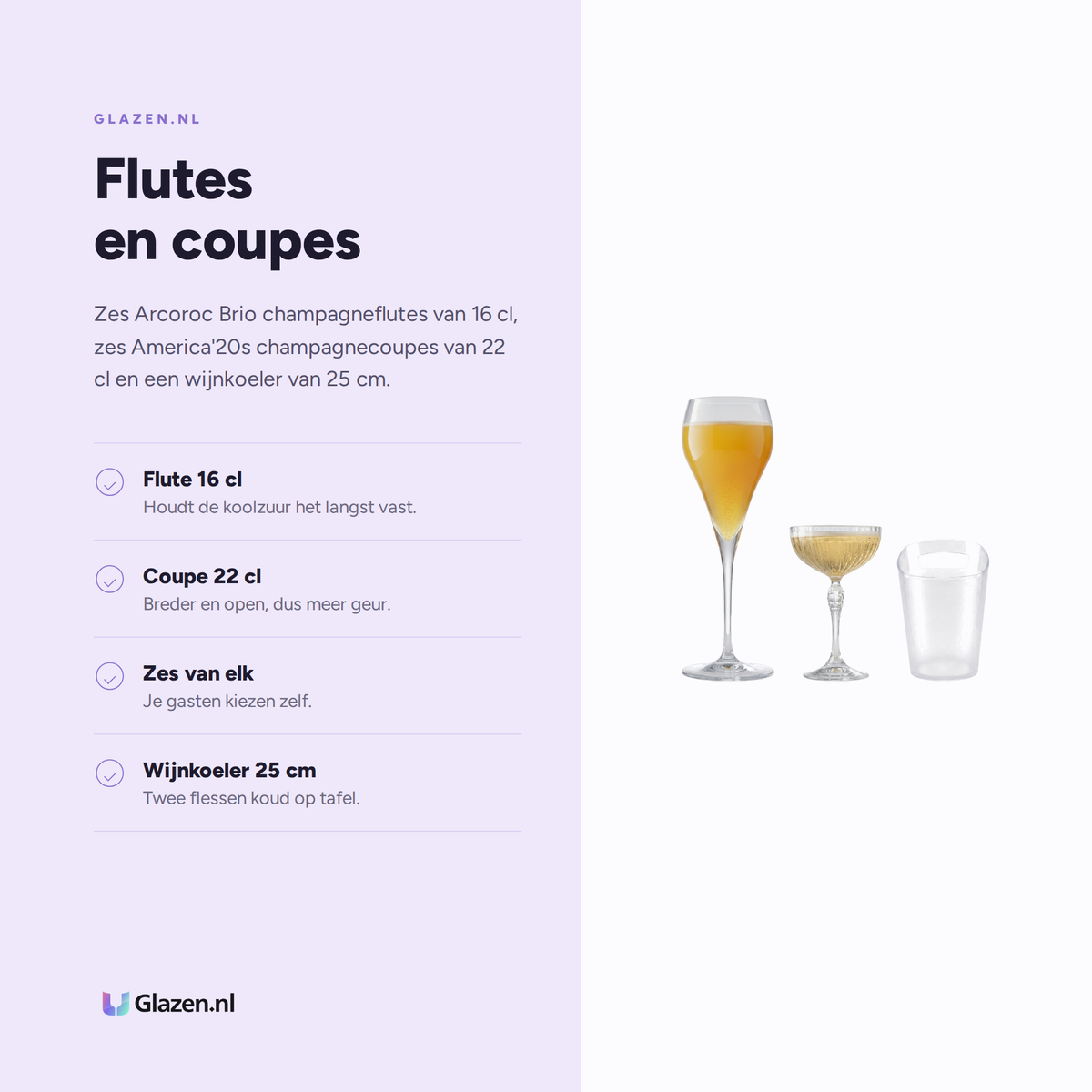 Eigenschappen van de Verjaardagsbox 13-Delig (6 Flutes, 6 Coupes & Wijnkoeler)